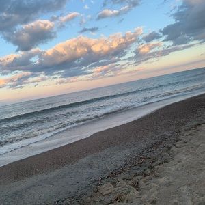 Meet your Posher, Ripley